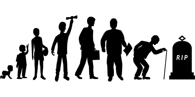 vývoj člověka.png