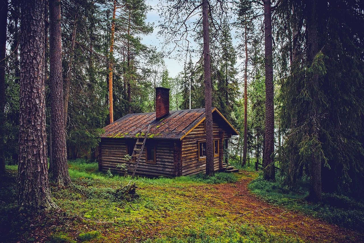 chatka v lese
